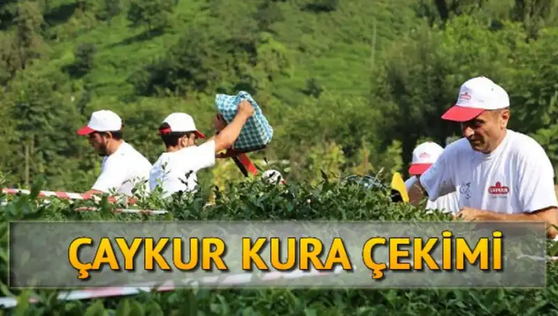 Çaykur Kura Sonuçları: Canlı Kura Sayfasıyla İsimlerinizi Öğrenin!