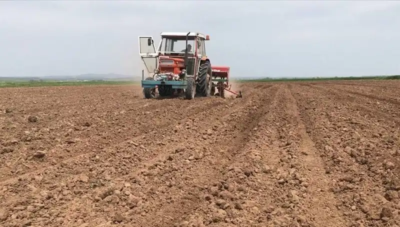 Son 35 Yılın En Kurak Mart Ayı: Türkiye'yi Bekleyen Tehlikeler Neler?