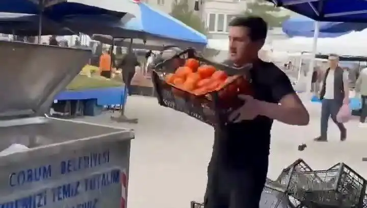 Domatesleri Çöpe Atan Pazarcıya İnanılmaz Cezayı Sızdıran Olay