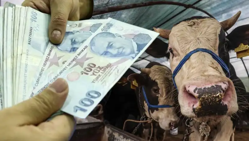 Bayram Öncesi Maaş Ödemeleri Zamanlaması Hakkında Bilmeniz Gerekenler
