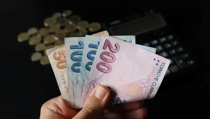 Rapor Parası Hakkında Bilmeniz Gereken Her Şey: Miktar ve Süreç