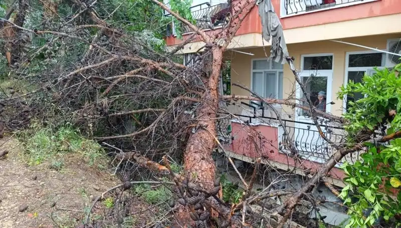Yağmur, Eski Binayı Devirerek Tehlike Yarattı: O Anlar Kamerada!