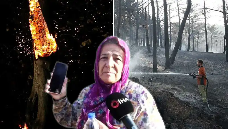 Çanakkale'deki Orman Yangınları Kontrol Altına Alındı: Ardında Bıraktığı Kimlik ve Telefon Kayıp