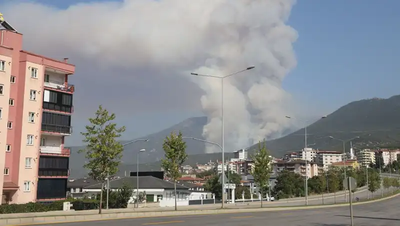 Denizli’deki Orman Yangını Üzerine Şok Gelişme: Bir Şüpheli Gözaltında