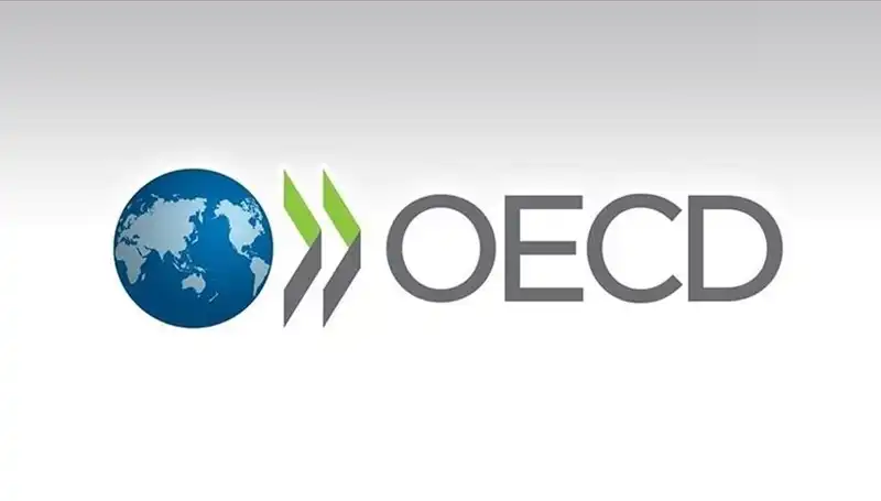 Türkiye'nin Büyüme Tahmini: OECD'den Umut Verici Açıklama Geldi!