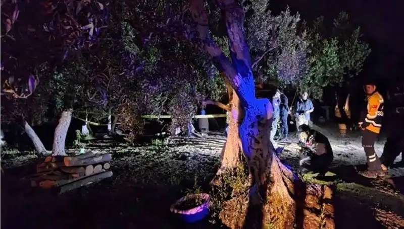 Çiftlikteki Baltalı Vahşet Sonrası İlk Tutuklama Gerçekleşti