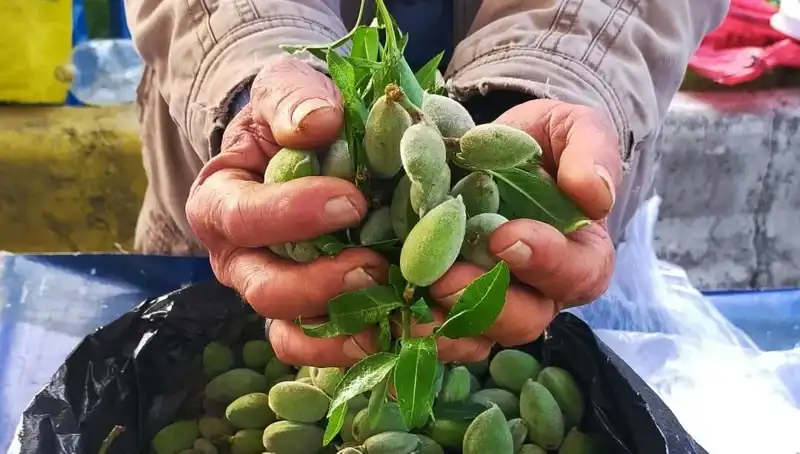 Baharın Gelmesiyle Tezgahlardaki Faturalar Yükseldi: 250 TL Kilo Fiyata Dikkat!