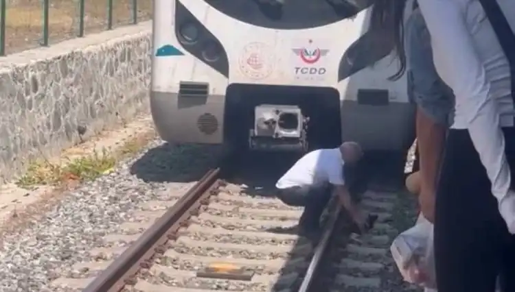 Raylardaki Kediye Duyarlılık: Marmaray Makinistinden Takdire Şayan Bir Müdahale