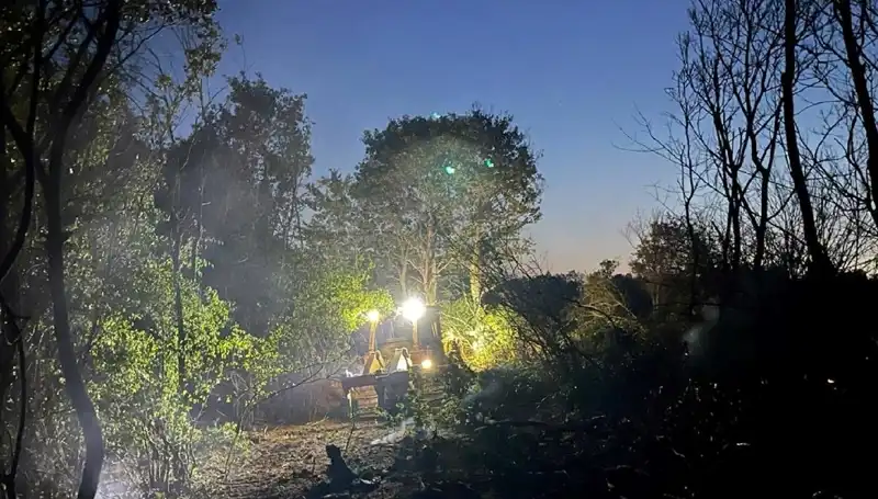 Edirne'deki Orman Yangını Kontrol Altına Alındı: Tüm Detaylar