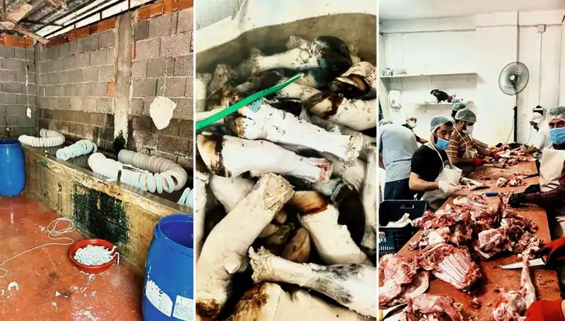 Adana'da Yüzlerce Kilo Tehlikeli Paça Ele Geçirildi, Halk Uyarıldı!