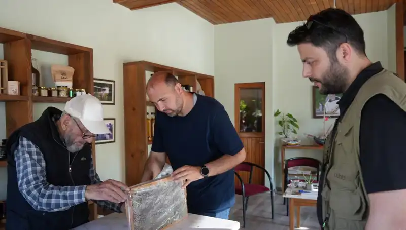 Doktorlar Uyarıyor: 1 Çay Kaşığını Geçmeyin, Hem Şifa Hem Zehir!