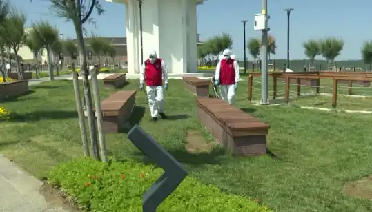 Kene Popülasyonunda Artış: Halka Açık Alanlarda İlaçlama Önlemleri Alınıyor