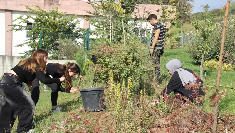 Kökleri Düzce’den Dünyaya Açılan Bu Hayal Gerçek Oldu!