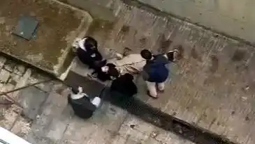 Kampüste Köpek Paniği: 4 Metreden Betona Düşen Öğrenci Şok Geçirdi