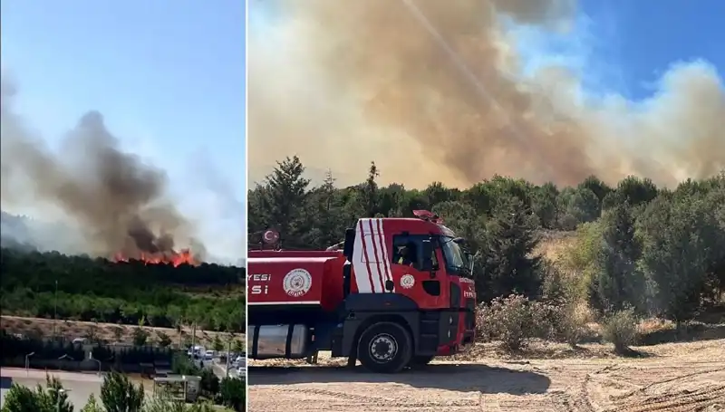 Gebze'de Eş Zamanlı Orman Yangınları: Yangınla Mücadele Devam Ediyor