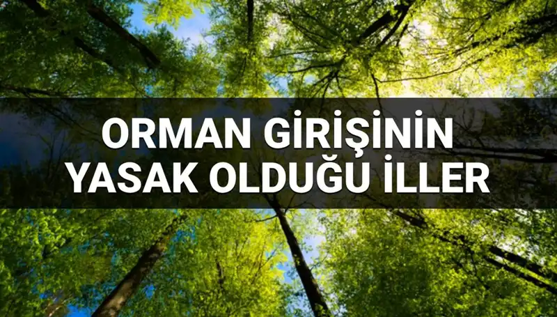 2025'te Orman Girişine Yasaklanan İllerde Dikkat Edilmesi Gerekenler