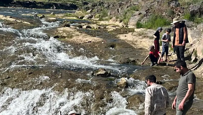 Binlerce Kilometre Uzaklıktan İnci Kefali Göçü: Doğa Severler Büyülenecek