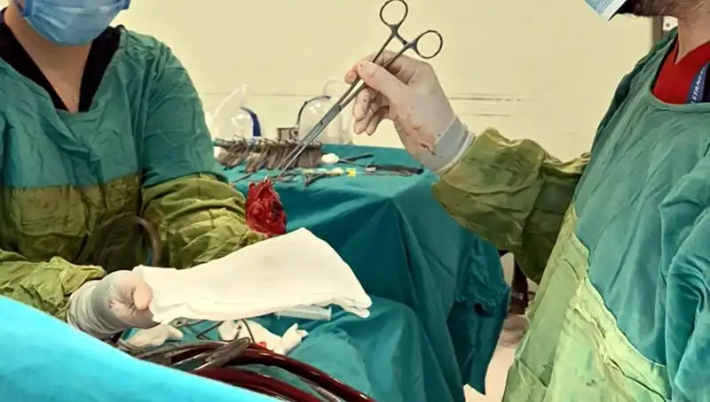 Kalp Kapağı Çürümüş Hastada 7 Saat Süren Mucizevi Ameliyat