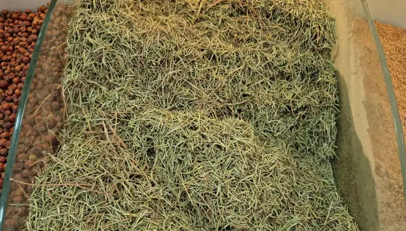 Yaz Aylarında İnternette Satışı Artan Tehlikeli Ürünler