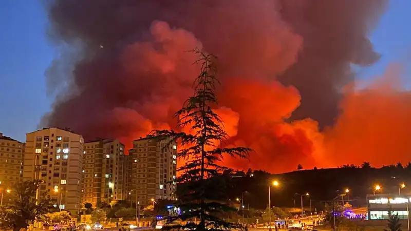 Bursa'da Yangın Alarmı: Şehirdeki Korkutan Olaylar ve Etkileri