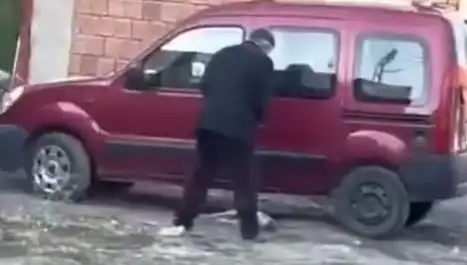 Köpeğe Sokak Ortasında Uygulanan Şiddet Olayı Ön Plana Çıktı